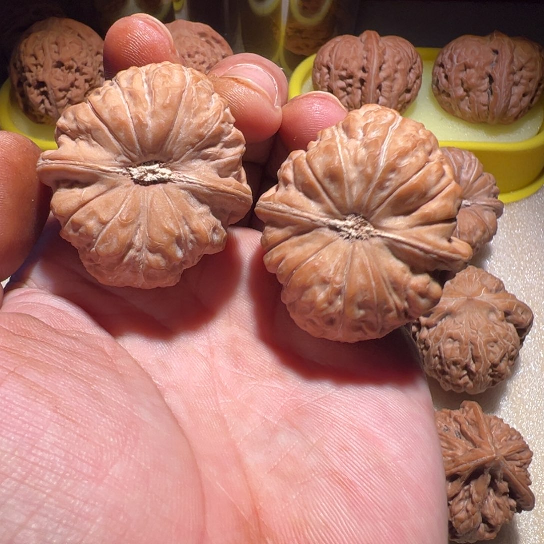 把件文玩核桃39南瓜墩