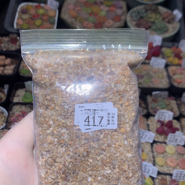 精品生石花38.417