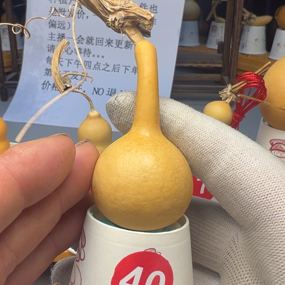 闪电购自助下单编号40