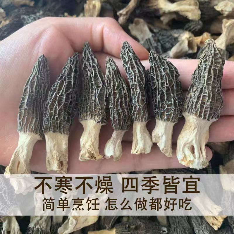  【羊肚菌】云南高原山货土特产农家精选饱满煲汤营养250克