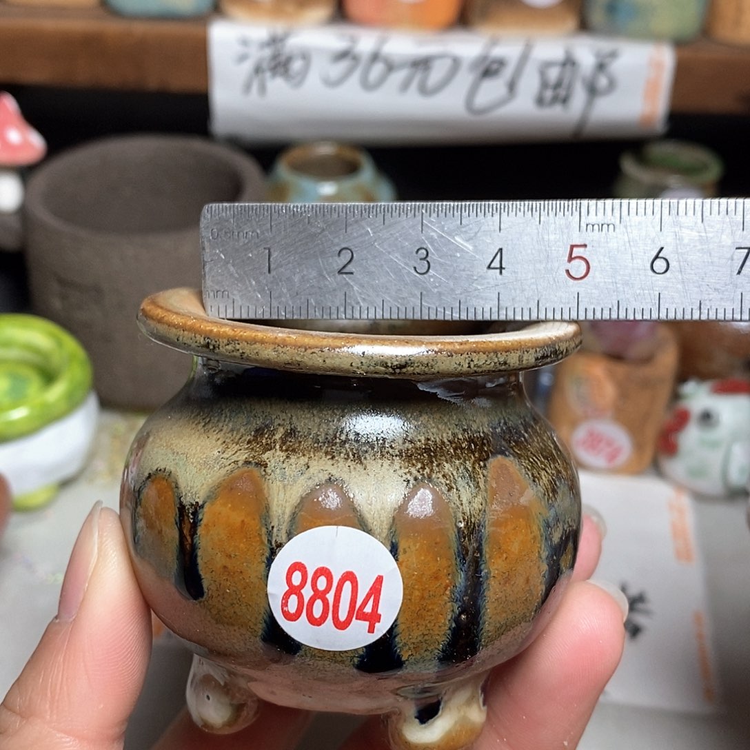 红陶拍5送一个小