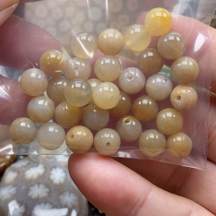 硅化珊瑚（珊瑚玉）颈饰未镶嵌