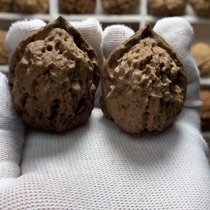 核桃40尺大尖嘴1号