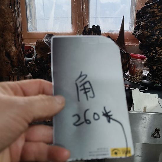 有机玻璃松明子琥珀木摆件，