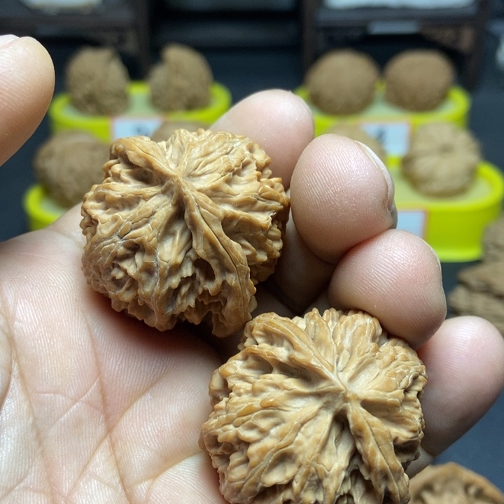 核桃苹果园狮子头001