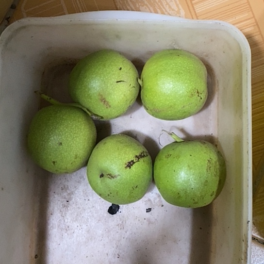 文玩核桃吊坠崔凯公子帽5颗青皮不退不换