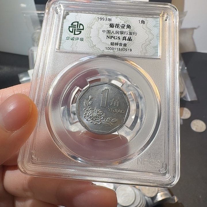 一斤菊花啊啊啊啊