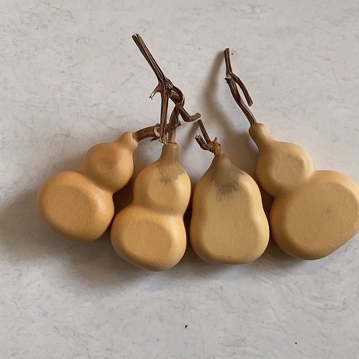 东***校天然植物葫芦夹扁有瑕