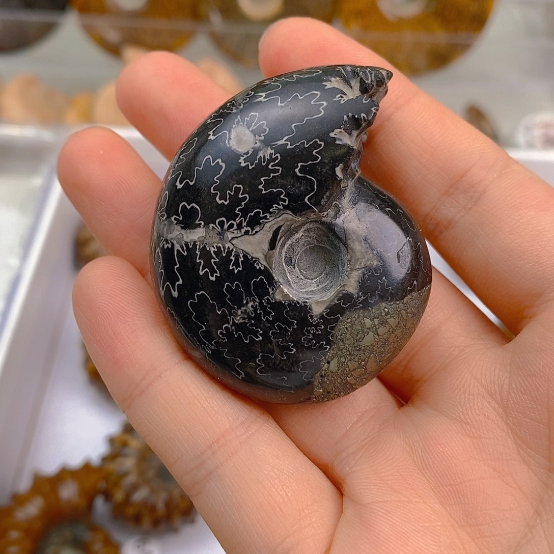 猴***子亚克力12112222344556