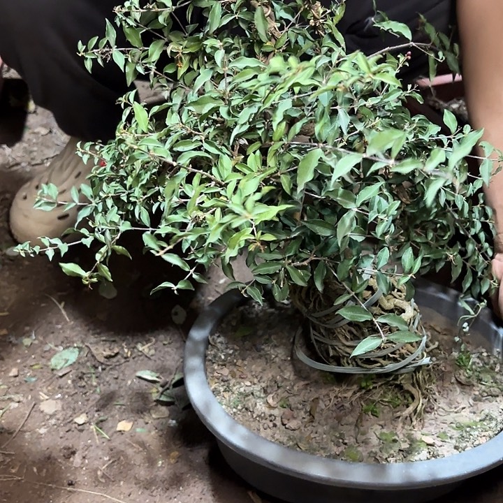 浮***标无花朵哈哈哈哈哈