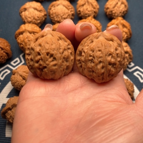 橄榄核手串/手链龙胆35全品