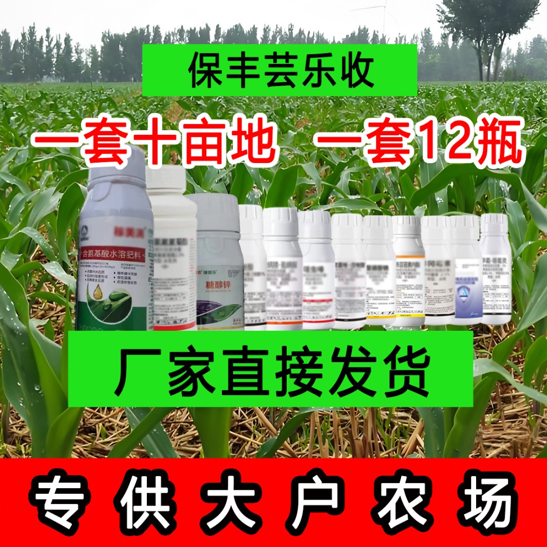 保丰芸乐收玉米专用叶面肥糖醇锌腐殖酸科学配比十亩地一遍