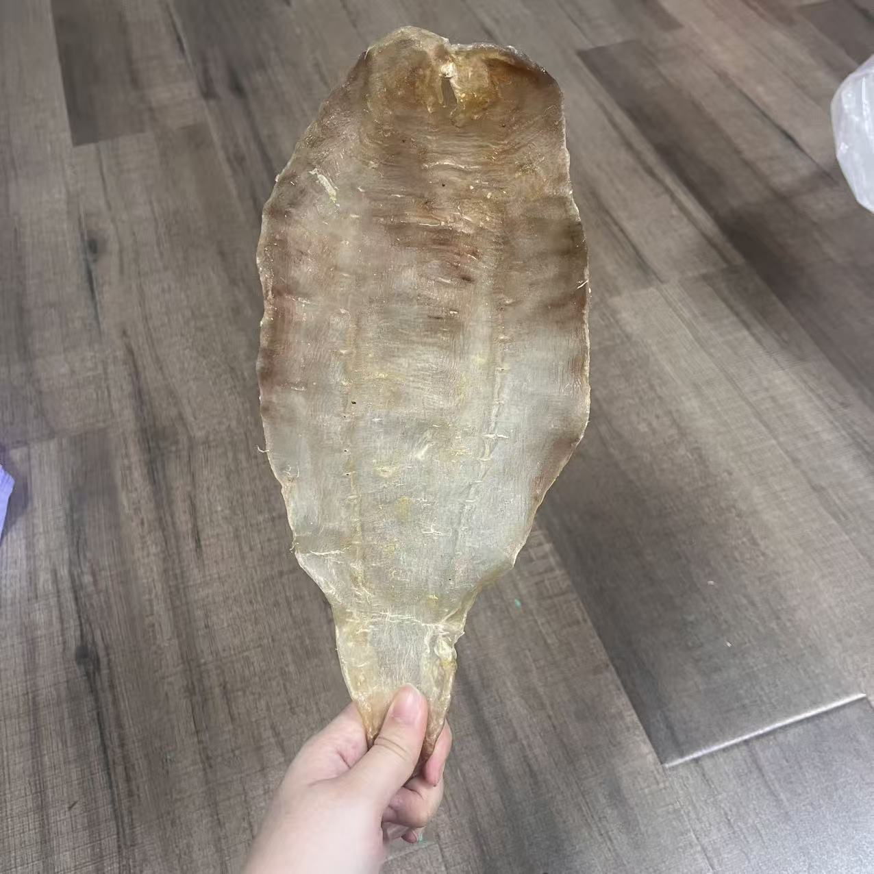 10头土鳘公鱼胶  1g  