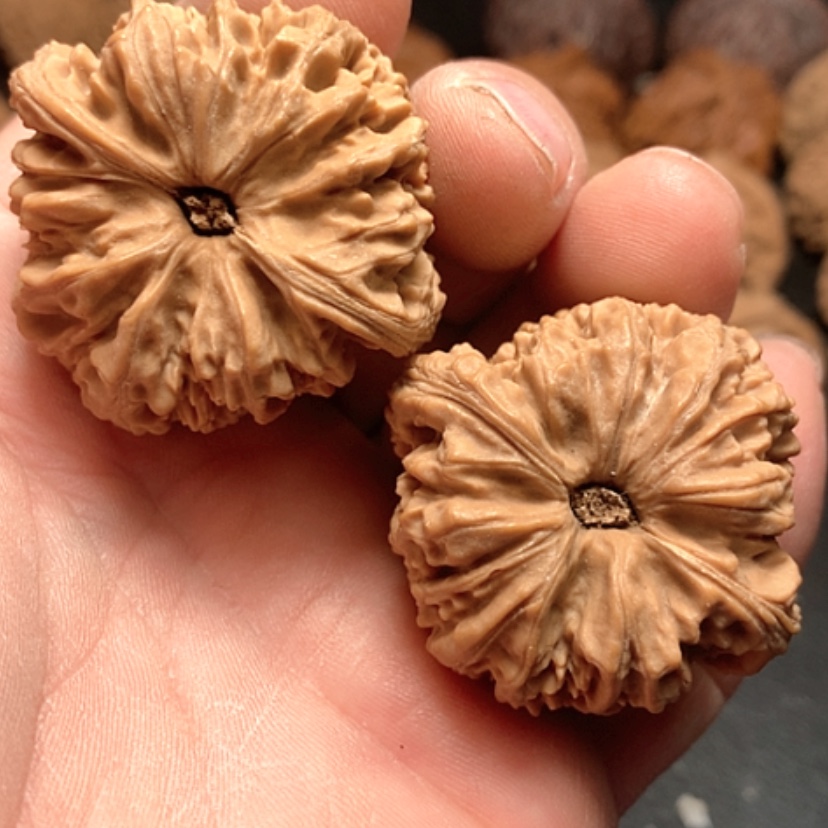 【闪购商品】奥***爸南疆石