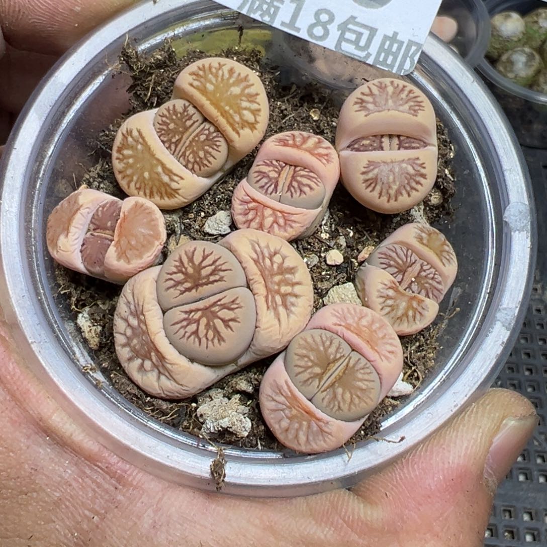 【闪购商品】 139。  