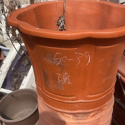 紫砂中国宜兴紫砂花盆，