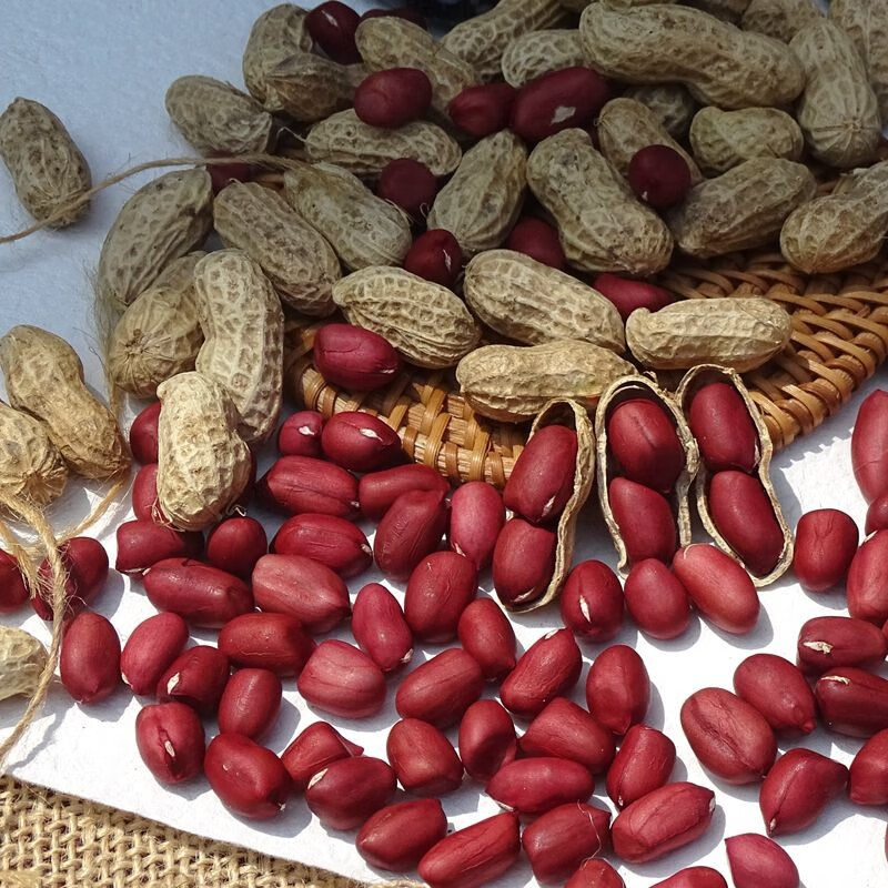 重庆农家自种带壳红花生新鲜红衣花生自然晒干