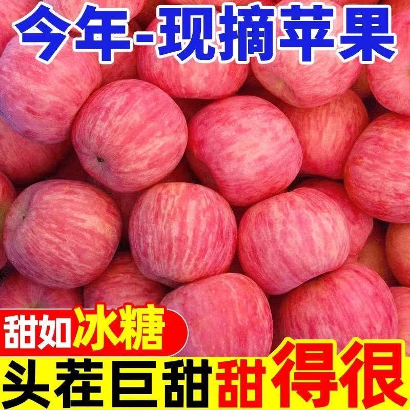 B山东新鲜红富士苹果当季脆甜多汁冰糖心适合全家