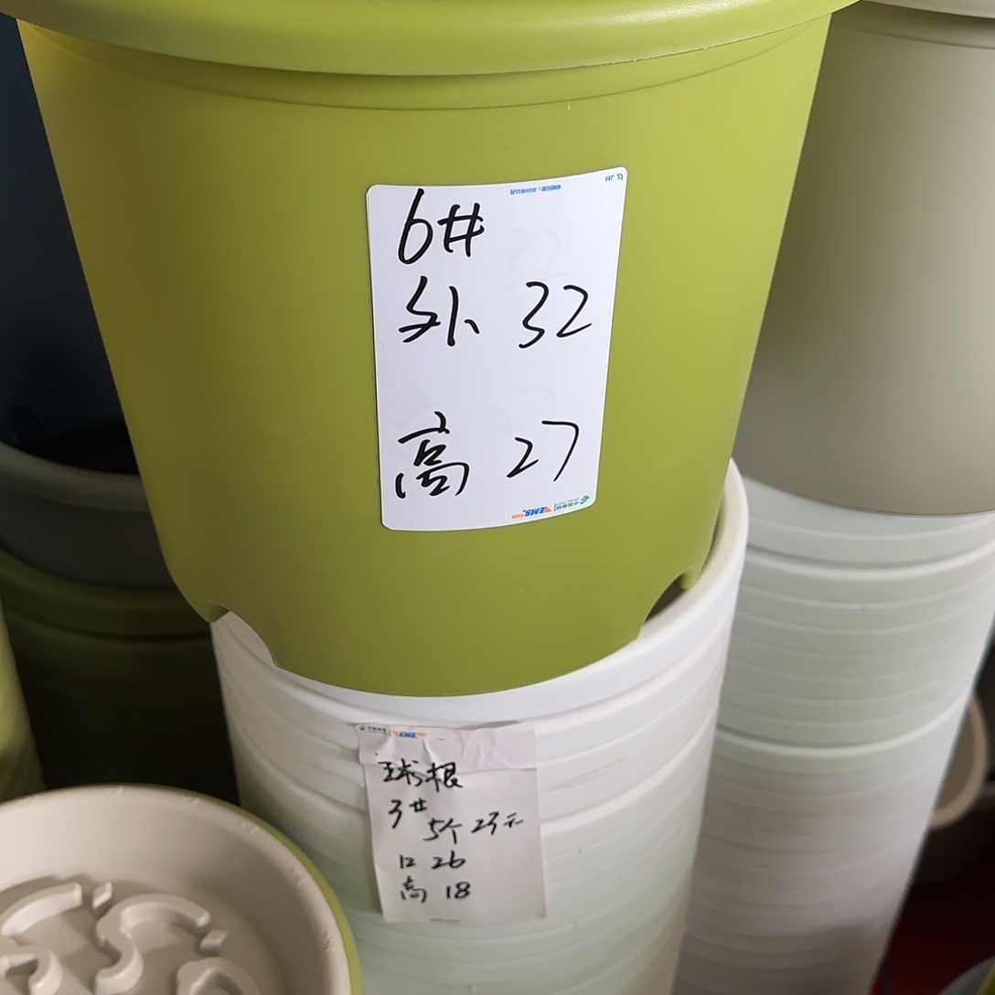 树脂四季6号无托7个果绿