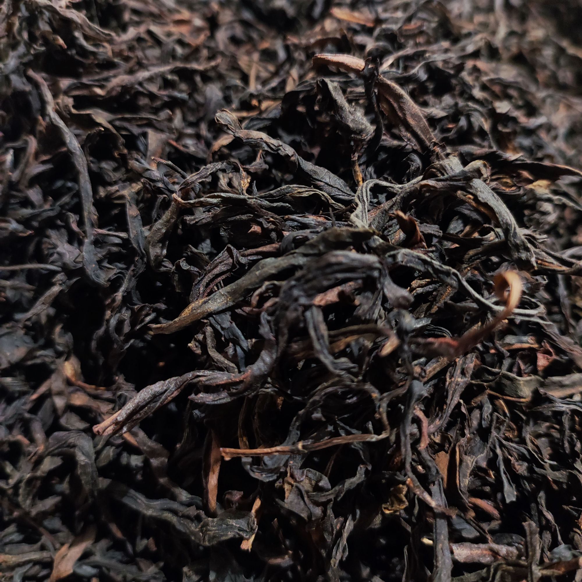 【赠品】2025年蜜兰香竹溜村 凤凰单枞中偏重焙火浓香