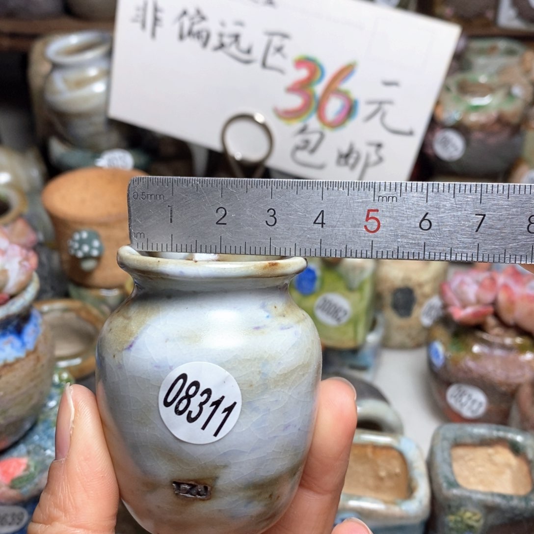 花盆拍5送一个小礼物