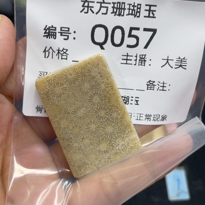 高***1颈饰合金硅化珊瑚（珊瑚玉）