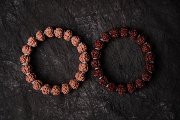 DU造物-狮王梅花小金刚菩提手串