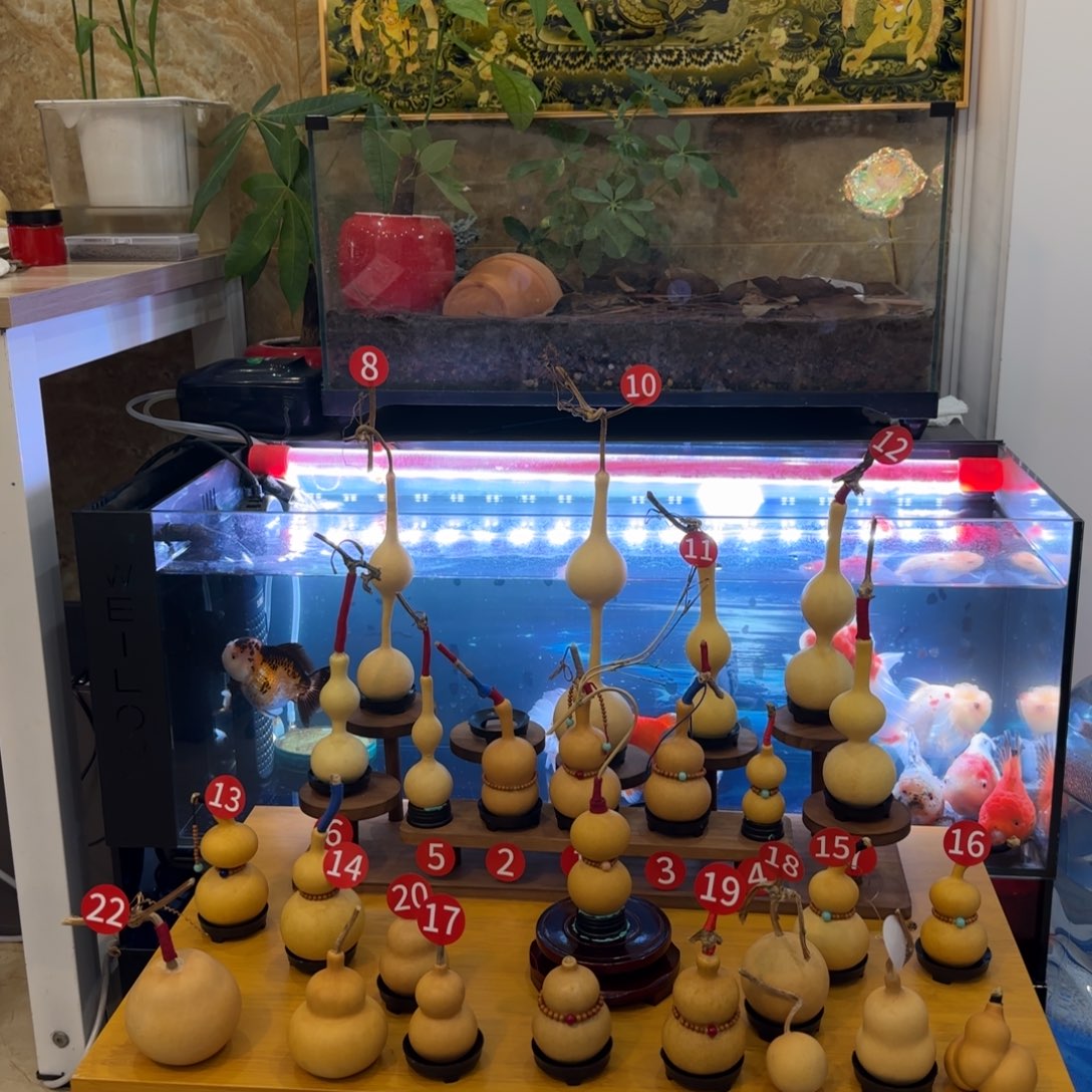 指***艺葫芦等多种颜色可供选择使用
