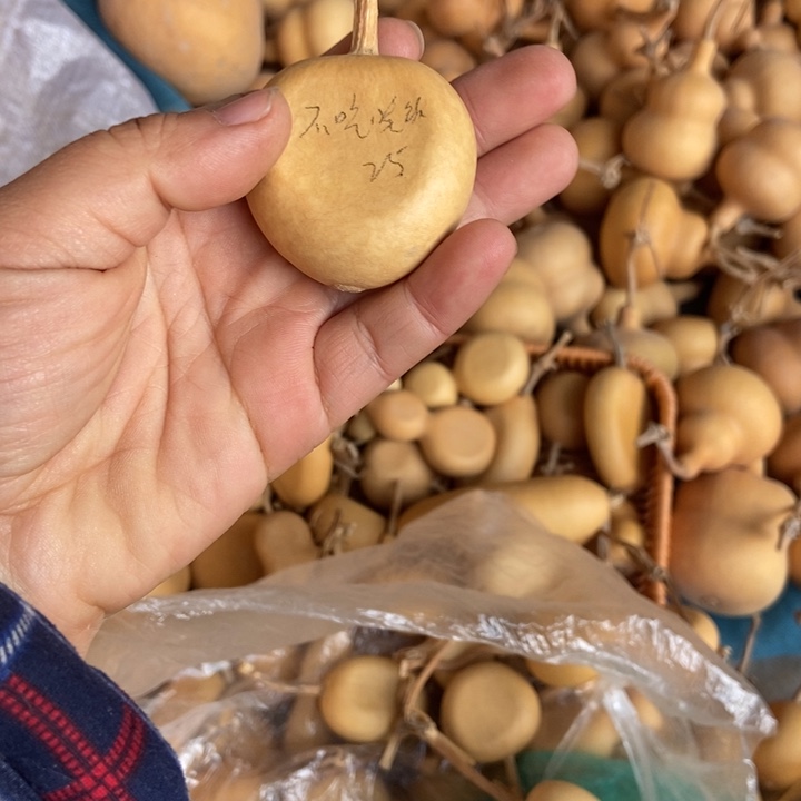 今***饭不吃晚饭不吃晚饭