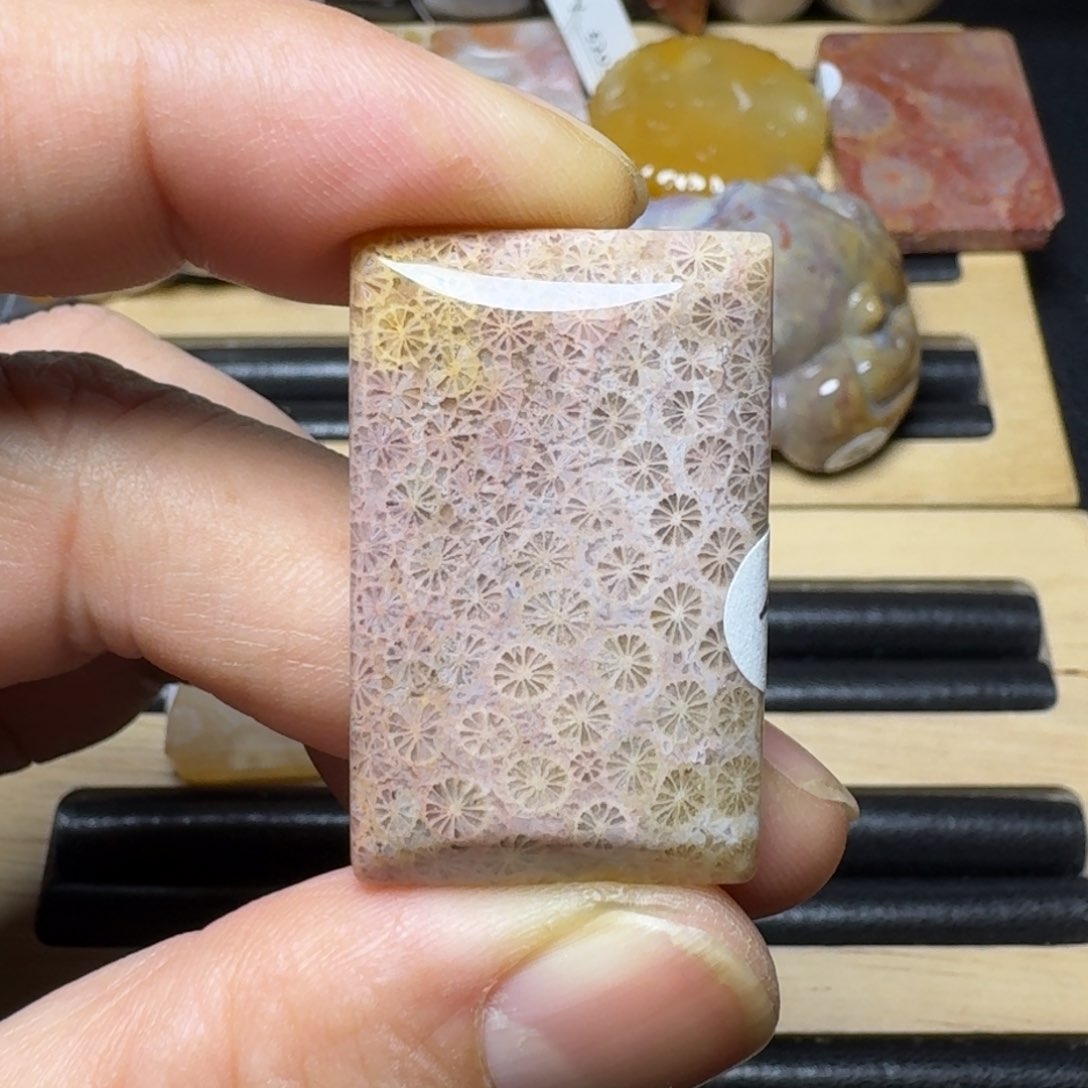硅化珊瑚（珊瑚玉）纯天然色有机玉石未镶嵌