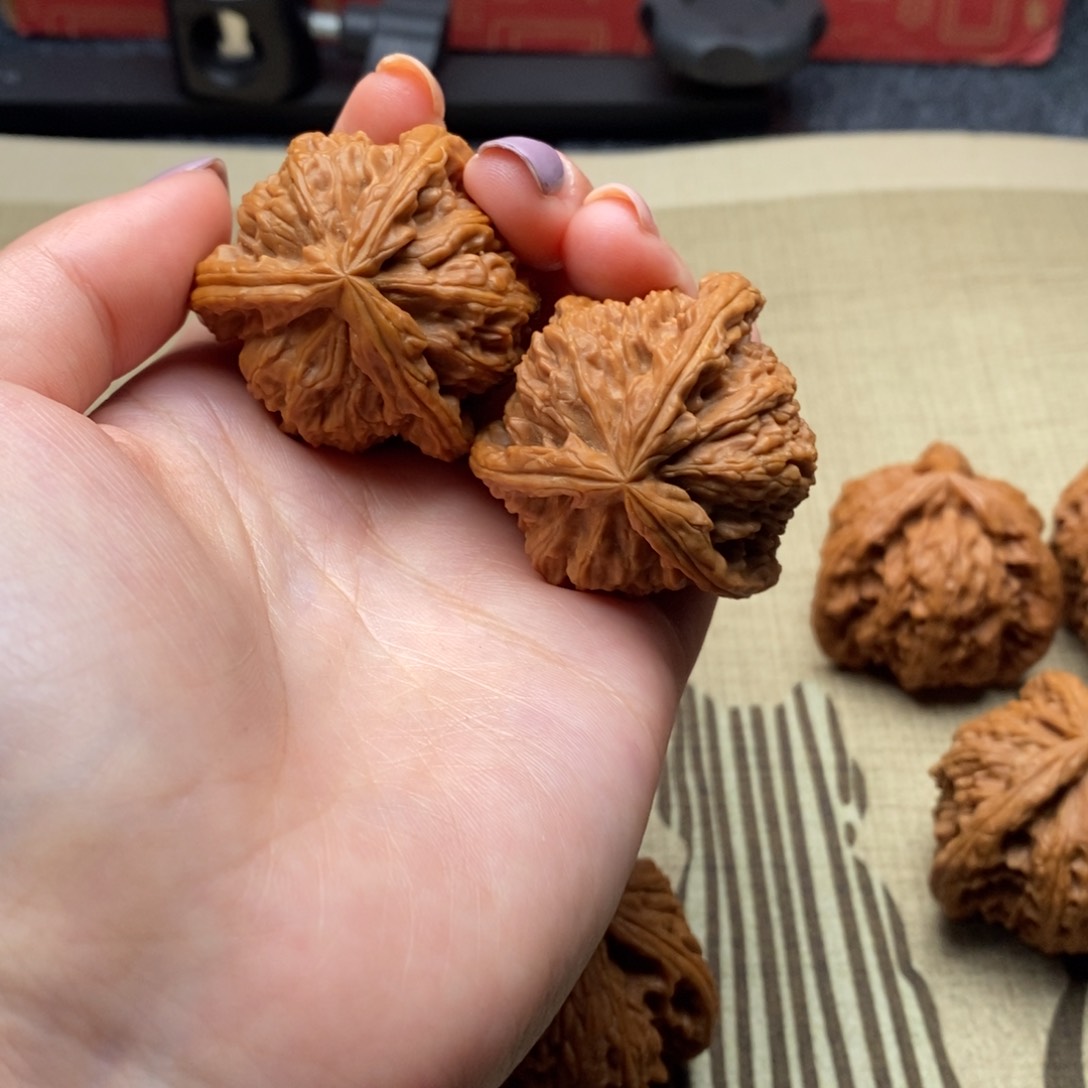 兜***人白狮子111111111