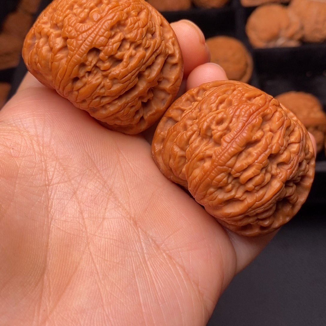 文玩核桃把件秦岭野生核桃