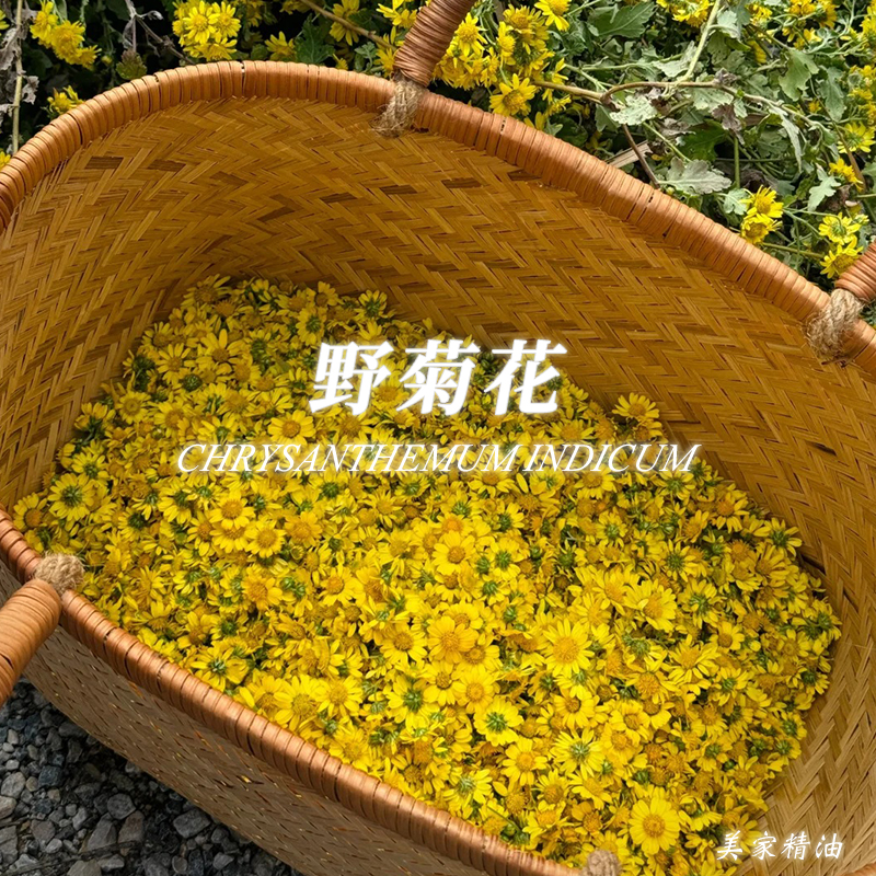 金盏菊精油单方精油