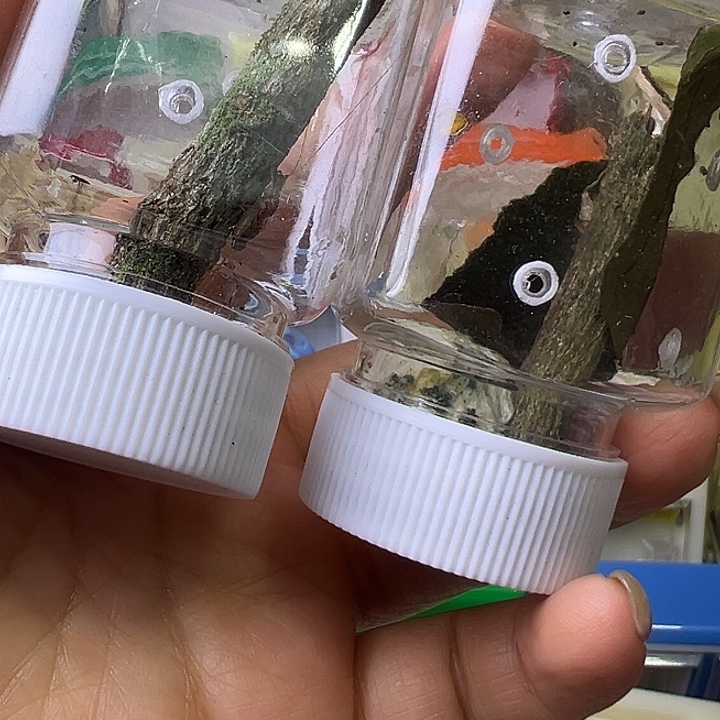 将***酒哈哈哈哈哈哈哈哈哈哈哈哈