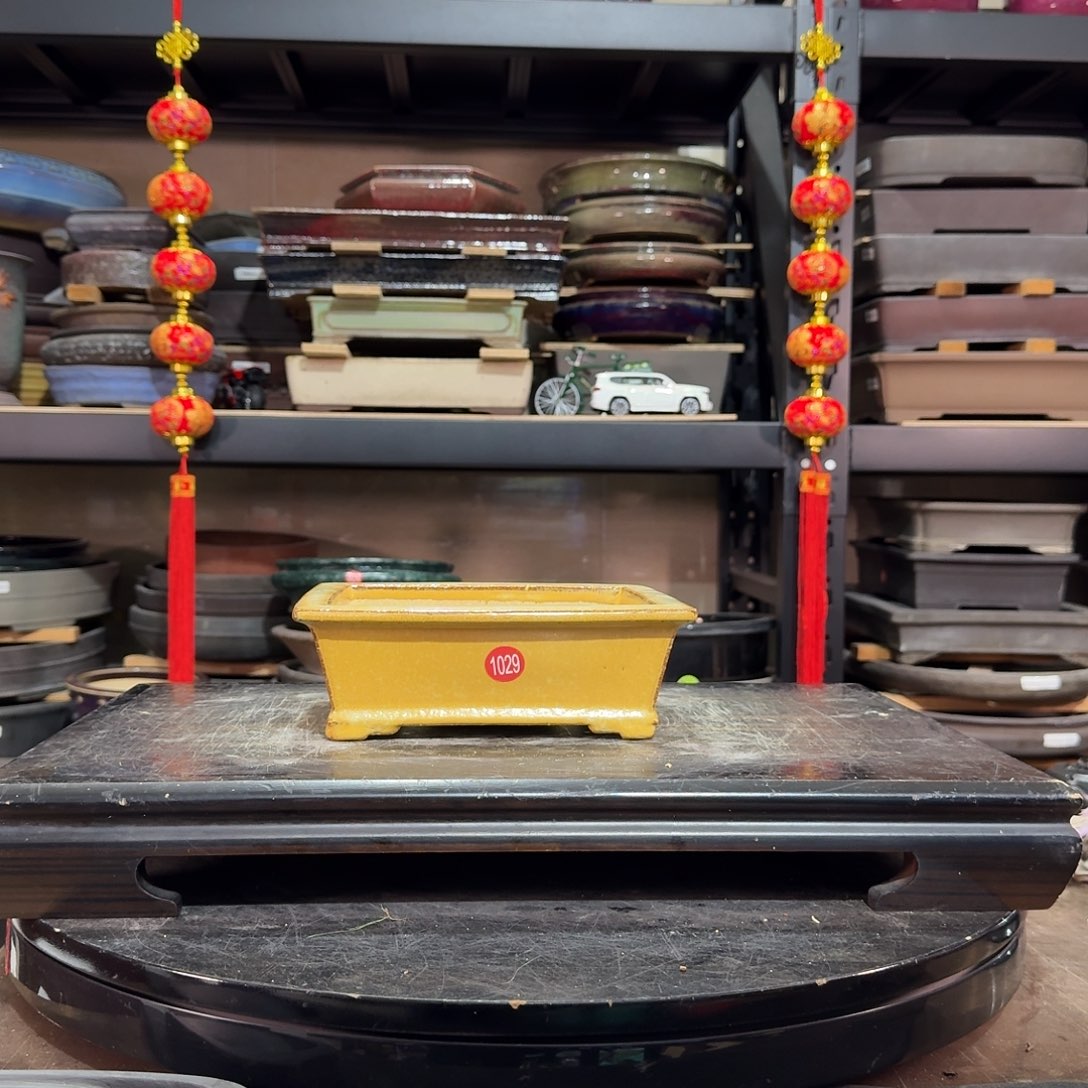 红陶h h h h h h h