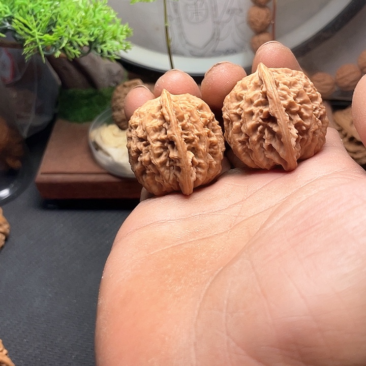 核桃手串/手链38蟠龙纹…………