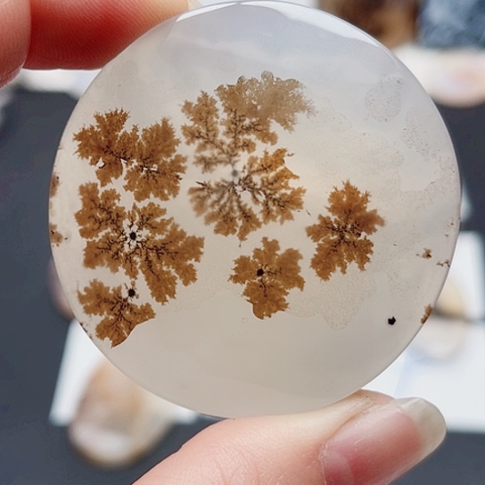 玛瑙/玉髓珠宝半成品未镶嵌