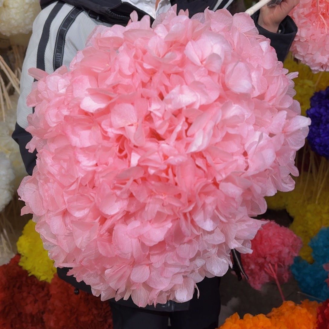 永生大叶绣球1枝 樱花粉