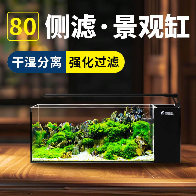 养鱼日记80pro侧滤景观缸桌面黑胶黑背金晶超白缸客厅家用鱼缸