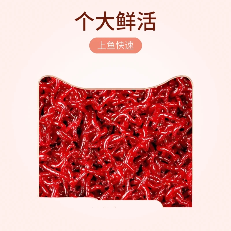 鲜活红虫特大号活体活饵拉饵野钓鲫鱼饵垂钓黑坑钓鱼肉夹馍