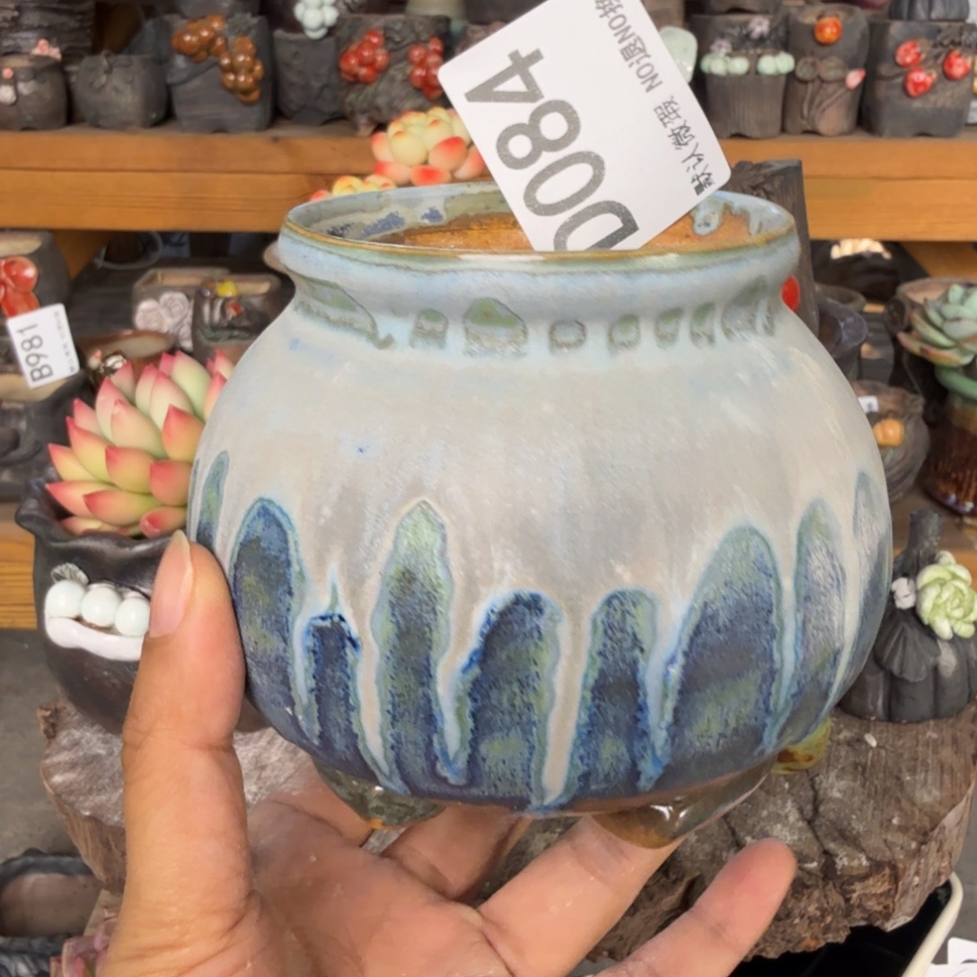 十***龙重庆小燕子欢迎大家084