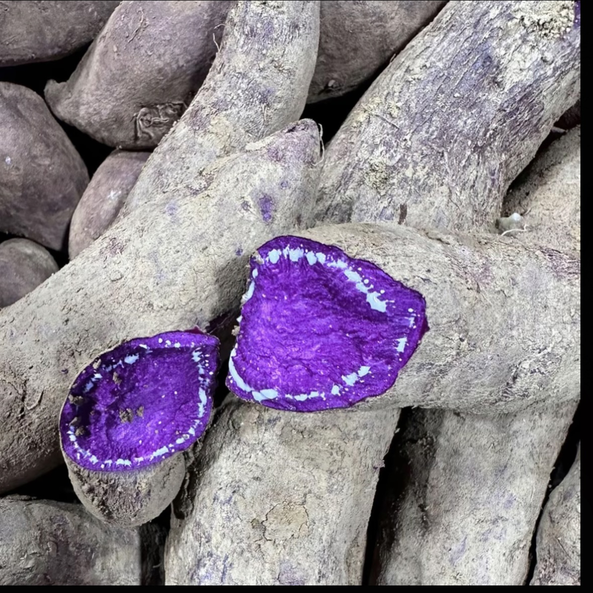 紫薯 湖南湘西农家种植 紫薯