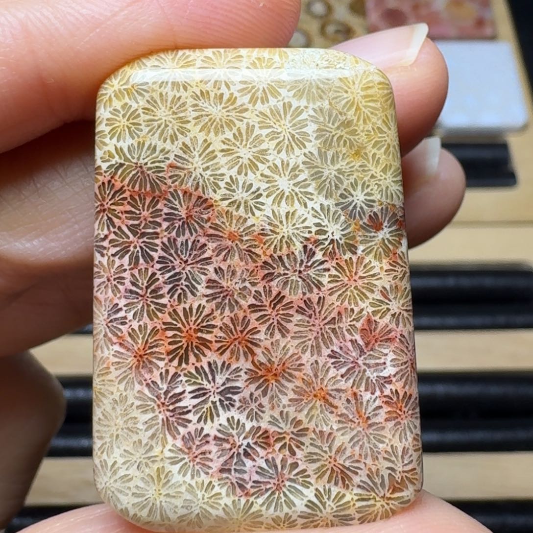 硅化玉彩枫叶，盘盘更透未镶嵌