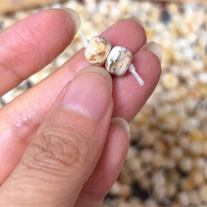 未镶嵌蜜蜡裸石8.1mm一对