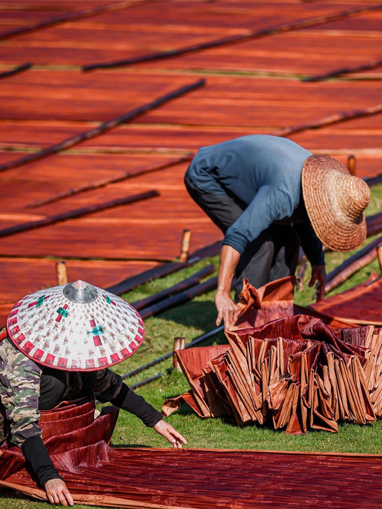 一号香云纱高货链接