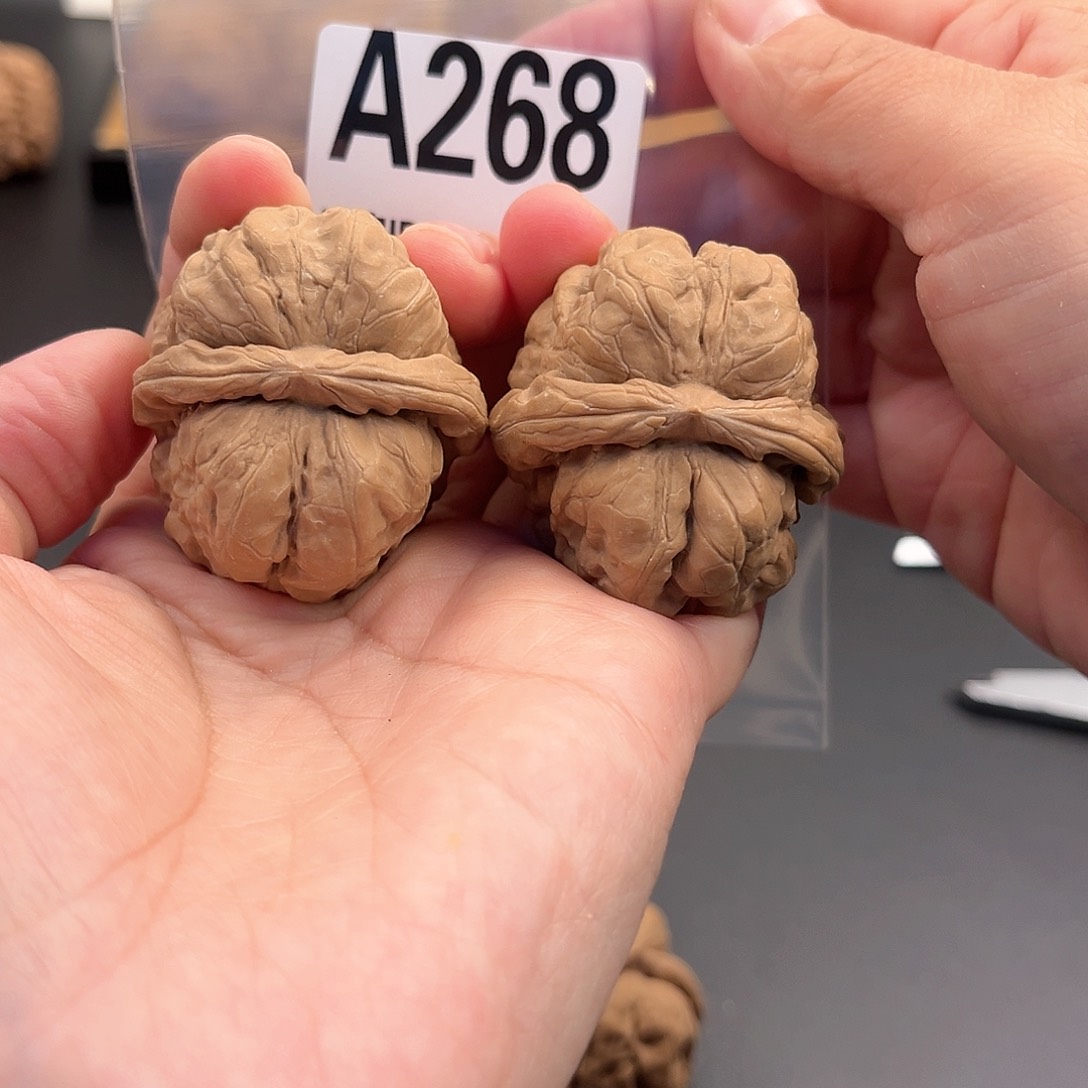 桃核把件三*蛙蛙福利