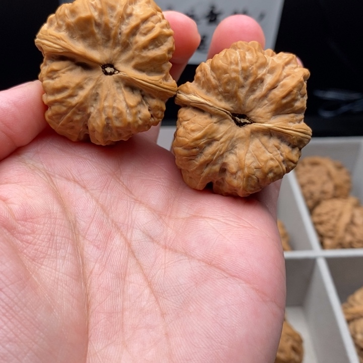 文玩核桃把件伍****蛤蟆