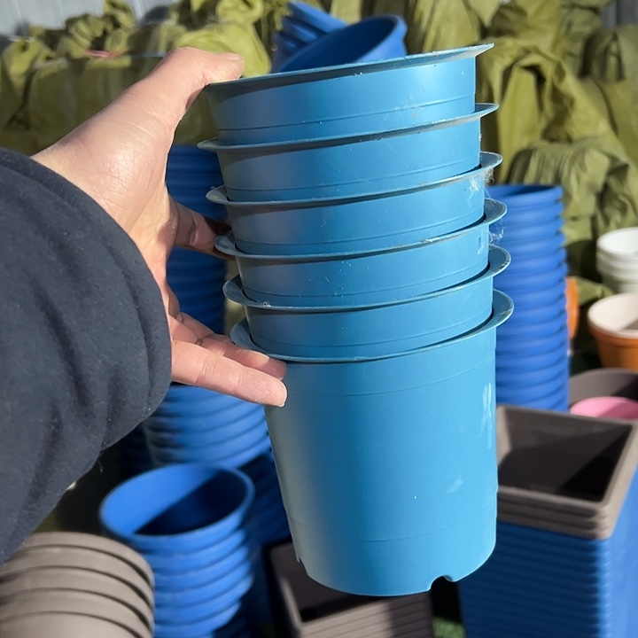 微瑕外径14高13六个盆带托盘