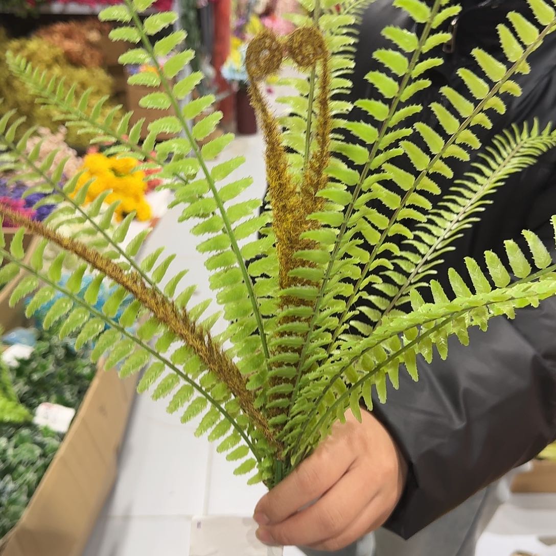 绿色把束撅草10把