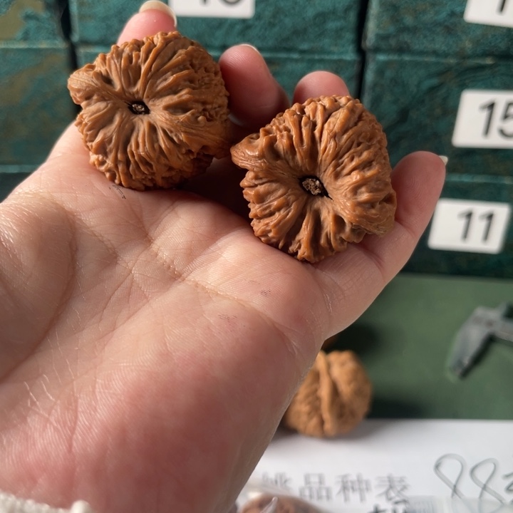 罗***下把件文玩核桃文玩核桃南疆